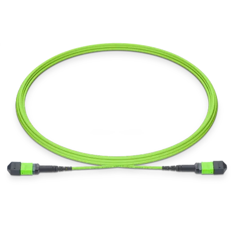 MTP/MPO 12-Core OM5 Fiber Trunk Kablo – 10 Metre