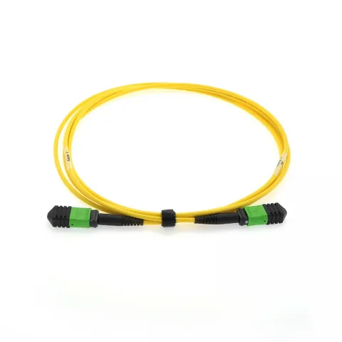 MPO-12 Single-Mode Fiber Trunk Kablo – 50 Metre