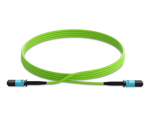 Corning EDGE OM5 MPO-12 Trunk Kablo (30 Metre)