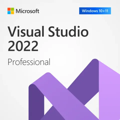 Microsoft Visual Studio Professional 2022