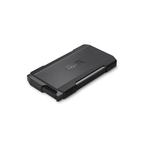 SanDisk Professional Pro-Blade Transport Disk Kutusu