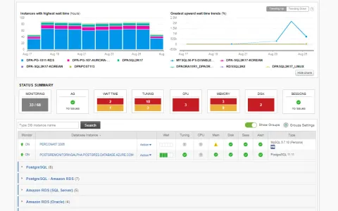 SolarWinds Database Performance Analyzer (DPA) Lisansı