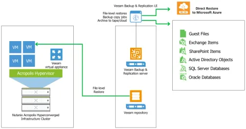 Veeam Data Platform for Nutanix AHV (100 Instance)