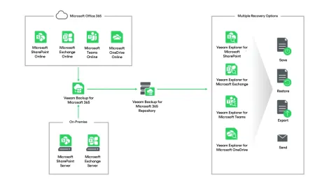 Veeam Backup for Microsoft 365 (10 Kullanıcı, 1 Yıl)