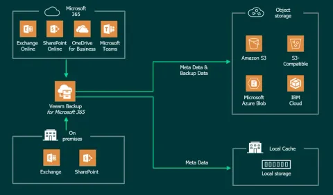 Veeam Backup for Microsoft 365 (250 Kullanıcı, 1 Yıl)