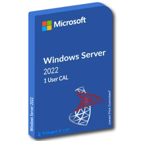 Microsoft Windows Server 2025 User CAL (Kullanıcı Lisansı)