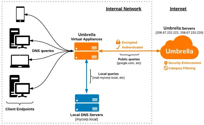 Cisco Umbrella DNS Güvenlik Lisansı (100 Kullanıcı)