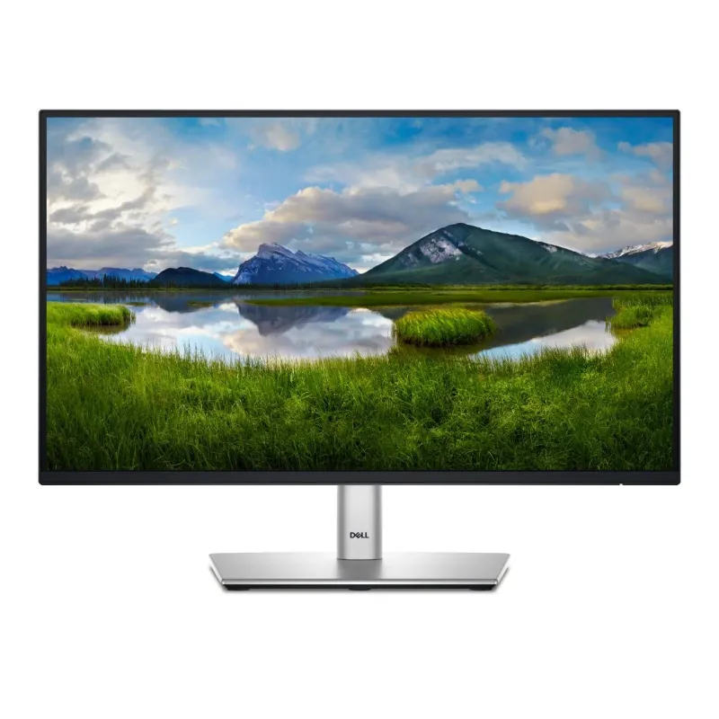 Dell P2422H 24" IPS Kurumsal Ofis Monitörü