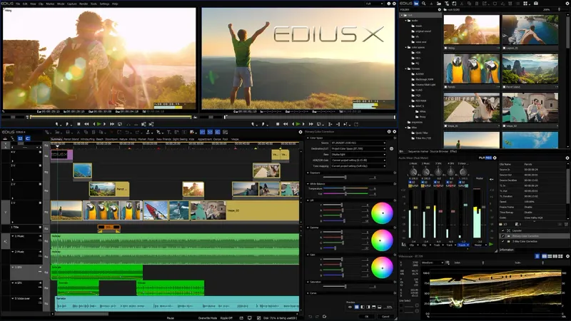 Grass Valley EDIUS X Pro (Kurgu Yazılımı)