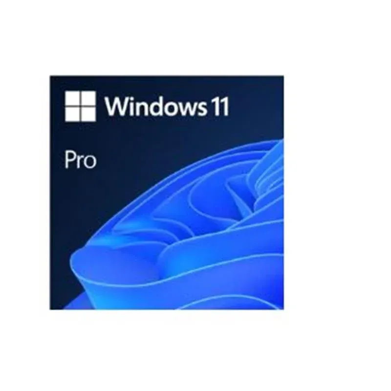 Ms Windows 11 Pro 32/64BIT Turkce-İngilizce ESD FQC-10572 (Elektronik Ortamda Gonderilir)