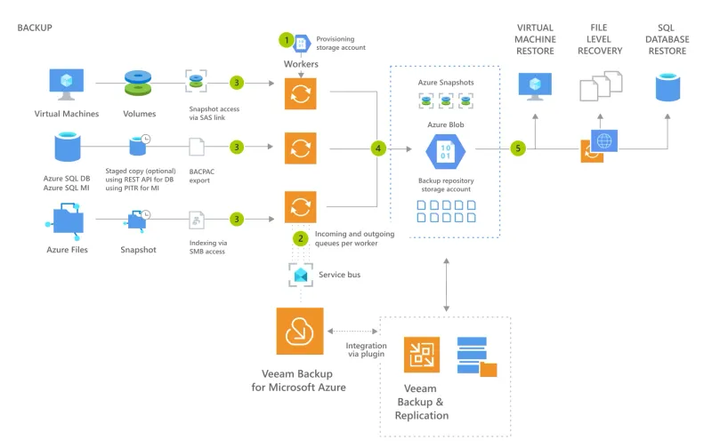 Veeam Backup for Microsoft Azure (50 Instance, 1 Yıl)