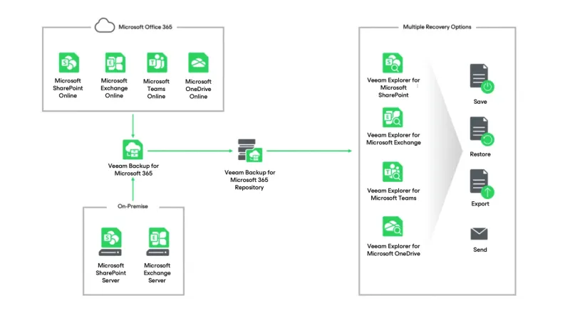Veeam Backup for Microsoft 365 (10 Kullanıcı, 1 Yıl)