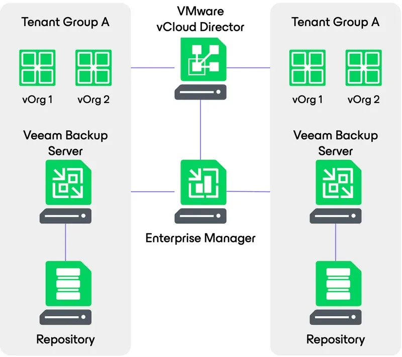 Veeam Backup Essentials Enterprise (100 Instance)