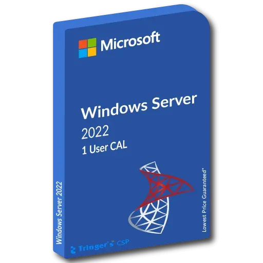 Microsoft Windows Server 2025 User CAL (Kullanıcı Lisansı)