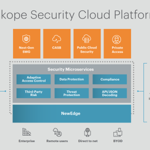 Netskope CASB (Cloud Access Security Broker) - 100 Kullanıcı - Görsel 1